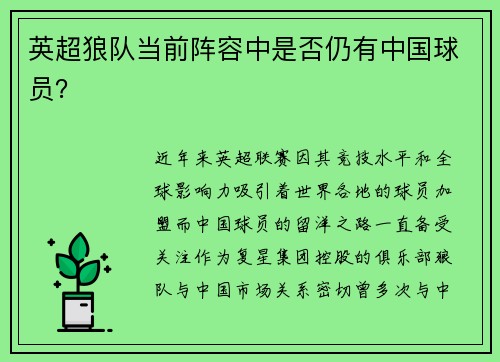 英超狼队当前阵容中是否仍有中国球员？