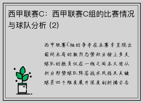 西甲联赛C：西甲联赛C组的比赛情况与球队分析 (2)